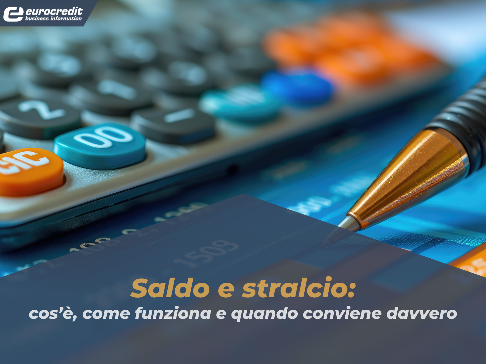 saldo e stralcio srl in liquidazione Modello Saldo e Stralcio editabile 2019 moduli editabili pdf
