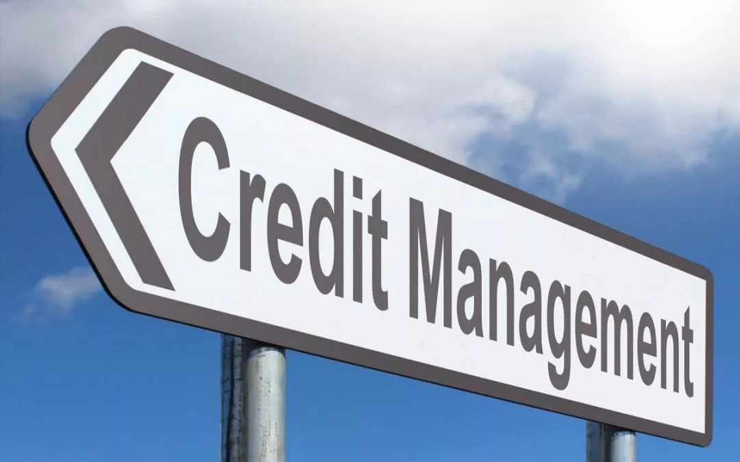gestione del credito